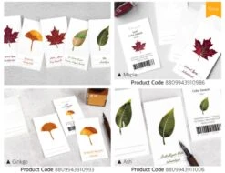 Wearingeul Ash Leaf Color Swatch Card